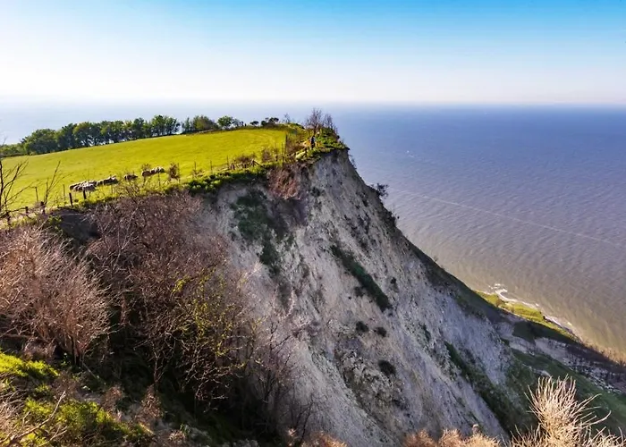 Gladys ゲストハウス